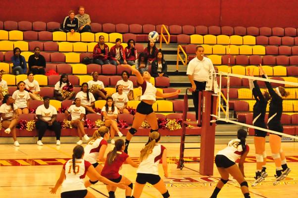 Cal Gunsaulus, photo 2