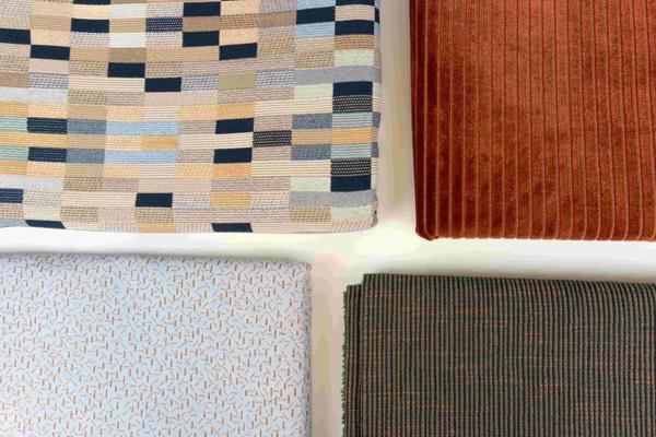 Dena Molnar, photo 2