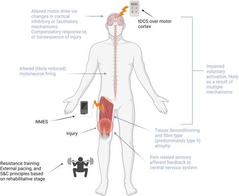 Myles Chang, photo 1