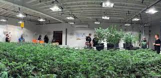 David Martinez, photo 1