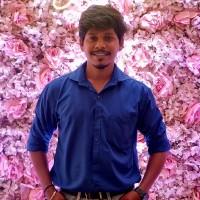 Devendra Tavari, photo 2