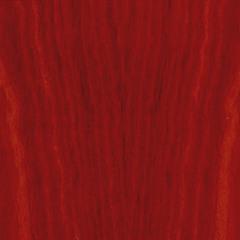 Jarrah Whitford, photo 2