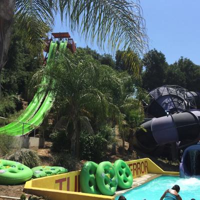 Erica Younge, photo 2