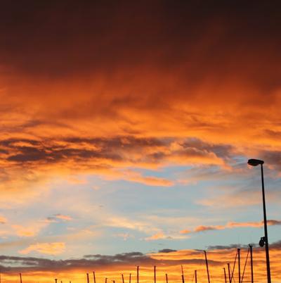 Joanne Thomas, photo 1