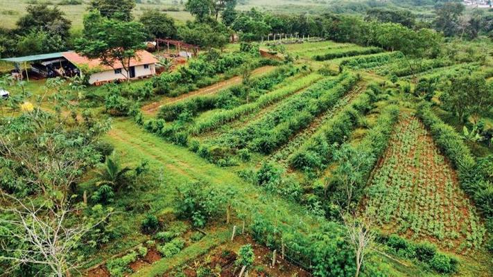 Sonal Khetarpal, photo 2