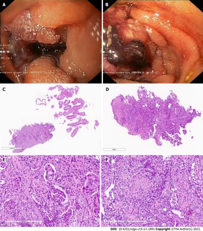 David Chianesi, photo 1