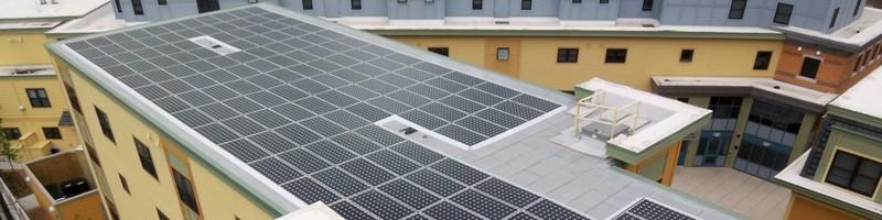 Amie McCarty, photo 2