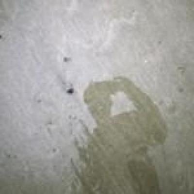 Pascal Duez, photo 1