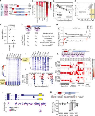 Bennett Sultan, photo 2