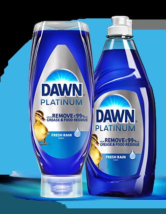 Dawn Hyatt, SHRM-CP, photo 2