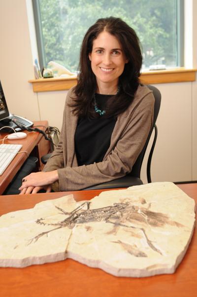 Julia Clarke, photo 1