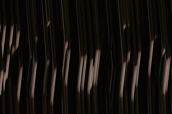 Timothy Ziemba, photo 2
