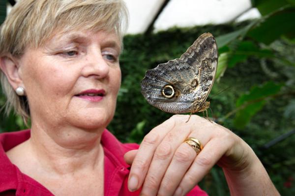 Anderson Bell, photo 2