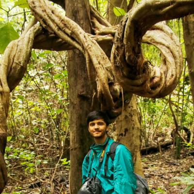 Neel Sureja, photo 1