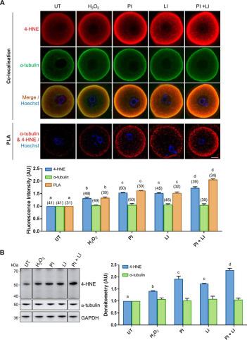 Andy Reinaker, photo 1