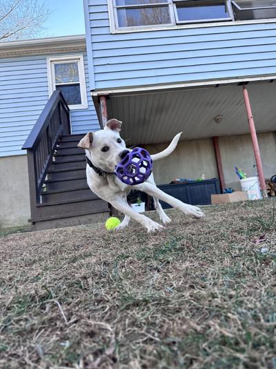 Grayson Goodbar, photo 1