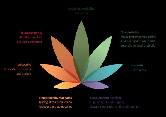 Vincenzo Piscitelli, photo 2