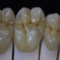 Barret Harting, photo 2