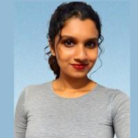 Krishnendu K, photo 2