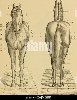 Jennifer Lankford, photo 2