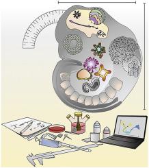 Davide Bruzzone, photo 1