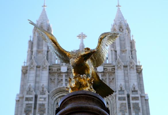 Andy Petigny, photo 1