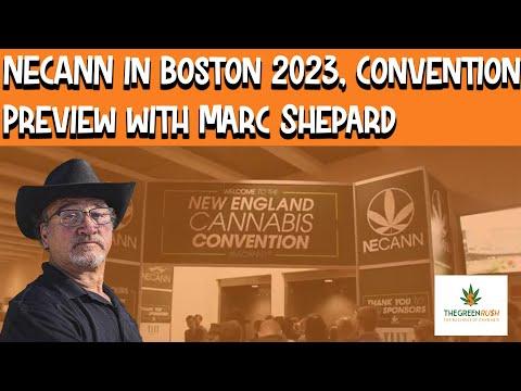 Marc Shepard, photo 2