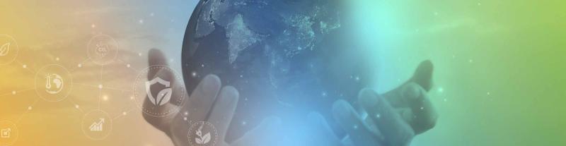 Patricia Marcolla Torchetti, photo 2