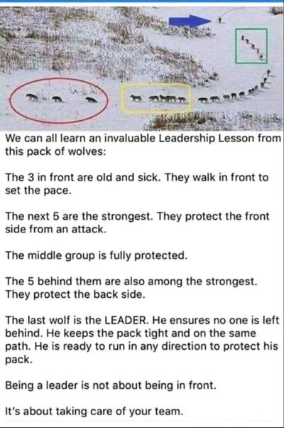 Vanessa Renner, photo 2