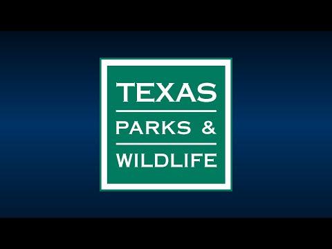 Jamie Lee Manning, photo 2