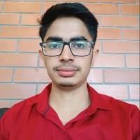 Ankit Kumar, photo 1