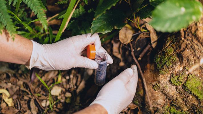 Benjamin Matthews, photo 2