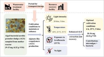 Ale de Vries, photo 1