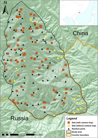 Anvar Saifi, photo 1