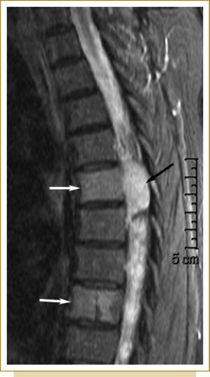 Viveka Lazor, photo 2