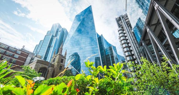 Camilla Zanetti, photo 1