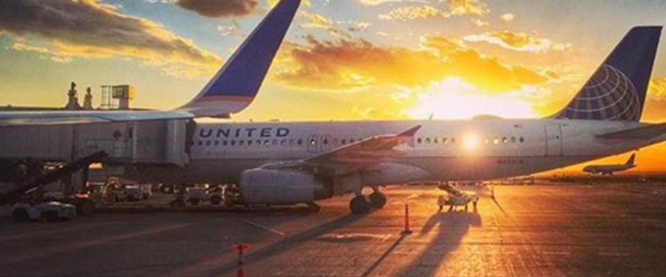 Megan Mitchell, photo 2