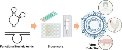 Virus Detectors, photo 2