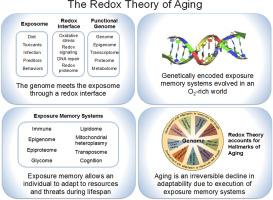 Lewis Elder, photo 1