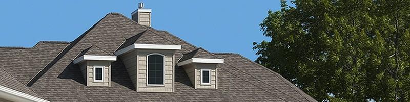 Greg Krushel, photo 2