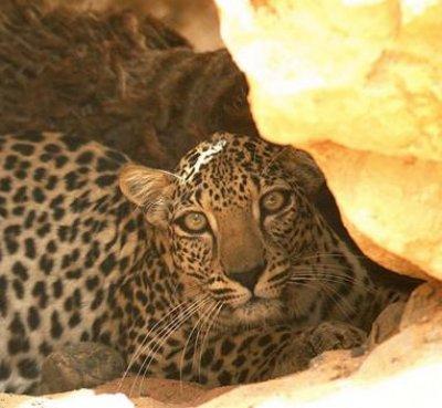 David Stanton, photo 2