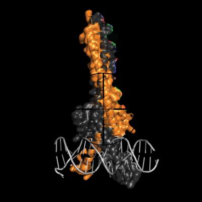 Fabian Werner, photo 1