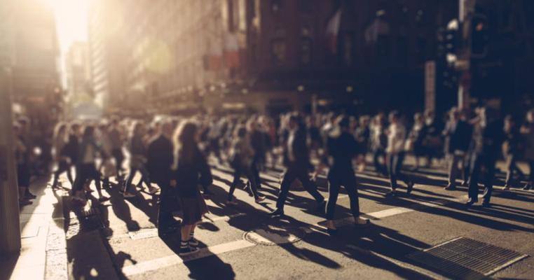 Jay Tavernese, photo 2