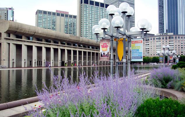 Christian Lavender, photo 2