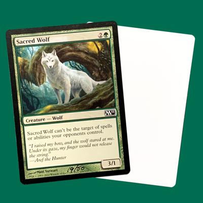 Matt Stewart, photo 2