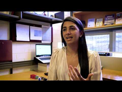 Negin Nazarian, photo 2