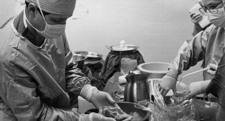 Hillary Ray, photo 2