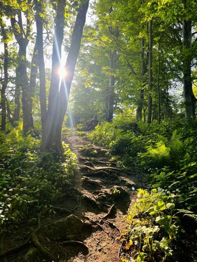 David Christy, photo 1