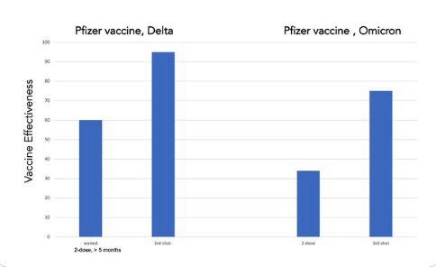 Joao Incio, MD PhD, photo 2