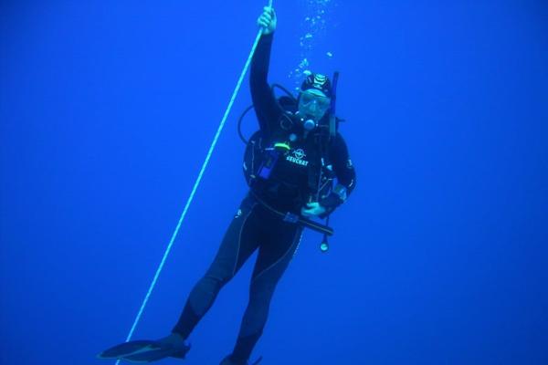 Steven Schwankert, photo 1
